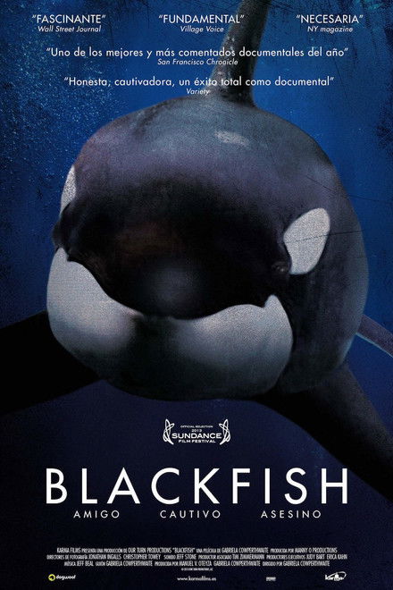 Blackfish