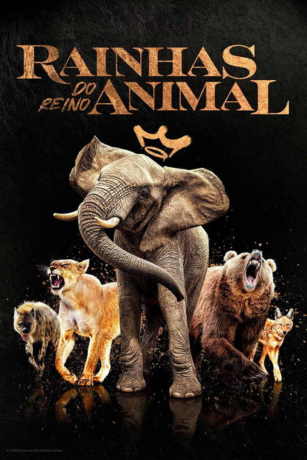 Rainhas do Reino Animal