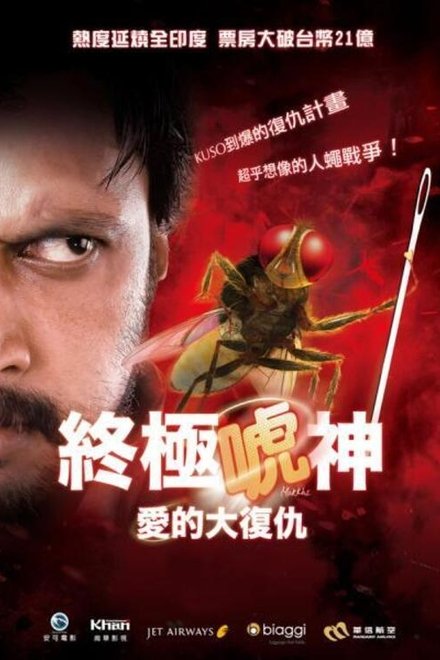 功夫小蝇
