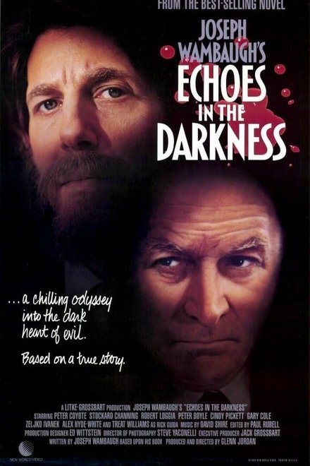 Echoes in the Darkness