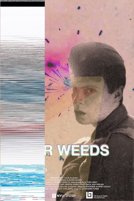 Bitter Weeds