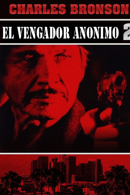 El vengador anónimo 2