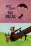 Yogi Bear's Big Break