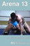 Arena 13