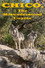 Chico, the Misunderstood Coyote