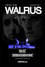 Walrus