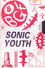 Sonic Youth: Blood on the Beach