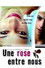 Une rose entre nous
