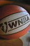 WNBA: The Birth of a League