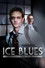 Ice Blues: A Donald Strachey Mystery