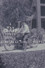 The Real Virgil Hilts: A Man Called Jones