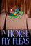 A Horse Fly Fleas