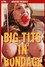 Big Tit Superstars of the 70's: Big Tits in Bondage
