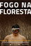 Fogo na Floresta