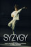 Syzygy