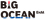 Big Ocean ENM