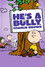 He's a Bully, Charlie Brown