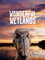 Wonderful Wetlands