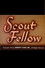 Scout Fellow