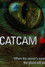 Cat Cam