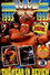 WWF 1993: The Year in Review