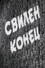 Свилен конец