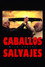 Caballos salvajes