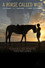 A Horse Called Wish
