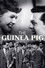 The Guinea Pig