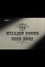The Million Pound Bird Book