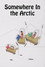 Somewhere in the Arctic...
