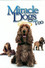 Miracle Dogs Too