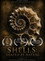 Shells: Shaped by Nature