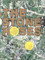 The Stone Roses – The DVD