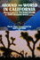 Around the World in California