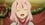 Tensura Nikki: Tensei shitara Slime Datta Ken 1. Sezon 11. Bölüm (Anime) izle