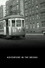 Adventure in the Bronx