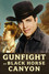 Gunfight at Black Horses Canyon