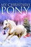 My Christmas Pony