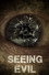 Seeing Evil