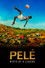Pelé: Birth of a Legend