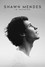 Shawn Mendes: In Wonder
