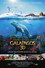 Galapagos 3D: Nature's Wonderland