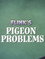 Flink's Pigeon Problems