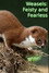 Weasels: Feisty and Fearless