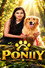 Poniiy