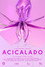 Acicalado