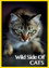 Wild Side of Cats