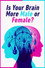 Is Your Brain Male or Female?