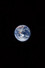 Man Belongs to the Earth